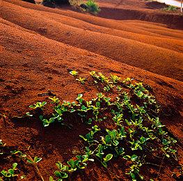 《光环：无限》全新视频介绍S2赛季两张新地图